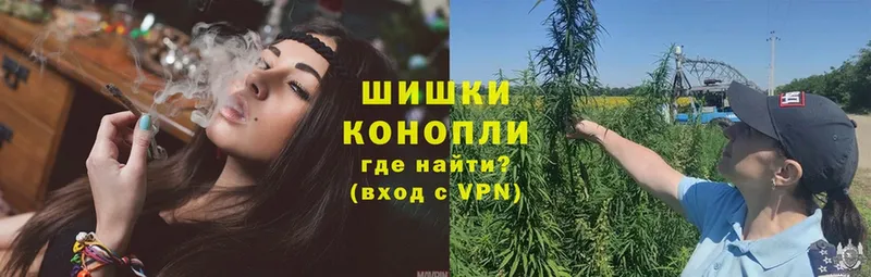 Бошки Шишки сатива  Билибино 